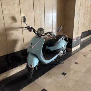 فیدل کلاسیک آبی